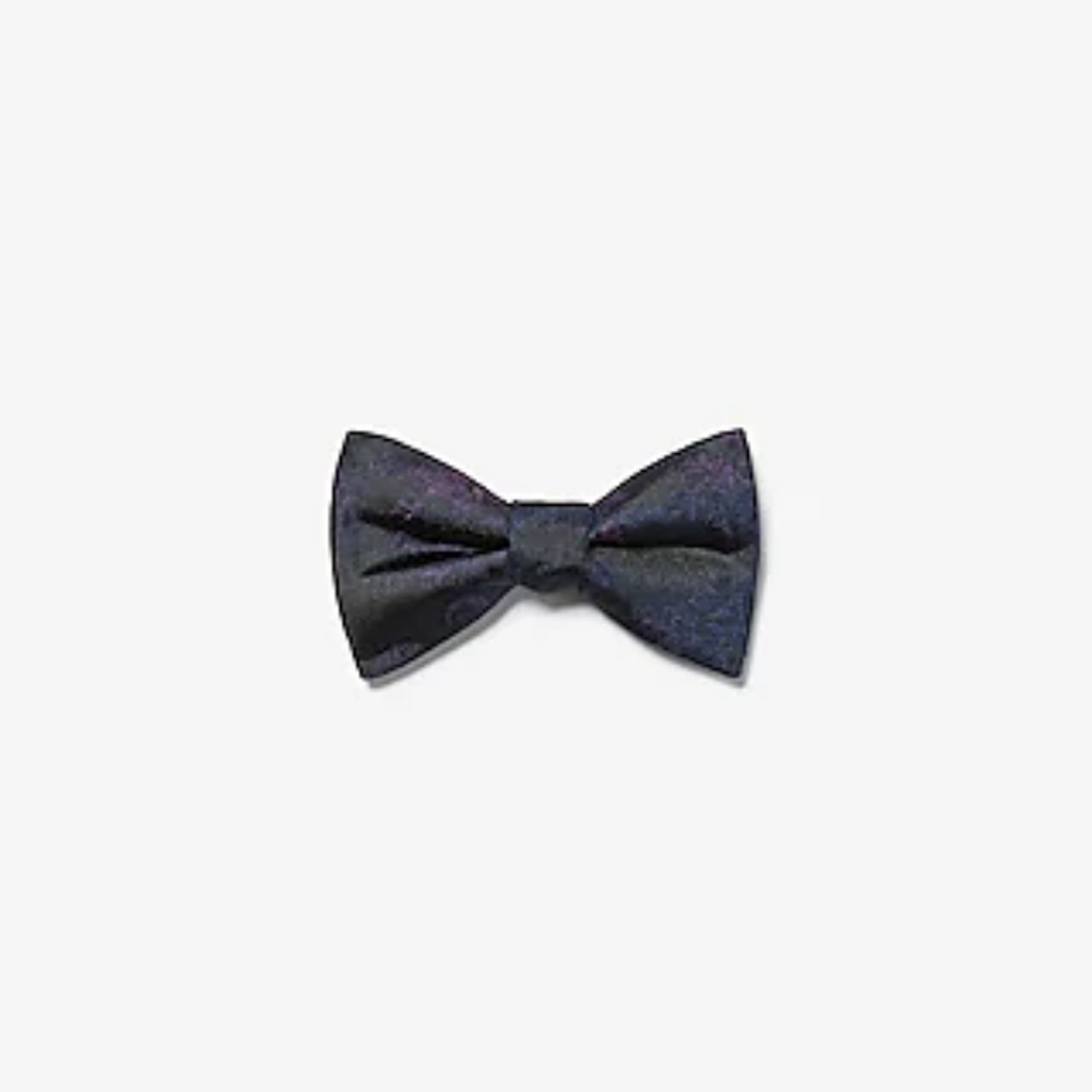 *NWT* Express Silk Bow Tie